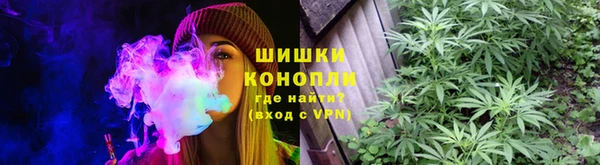 сатива Бугульма