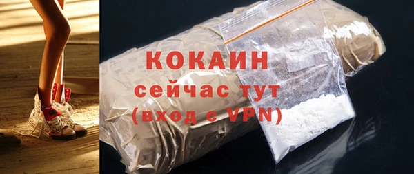 индика Бронницы