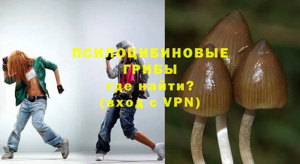 индика Бронницы
