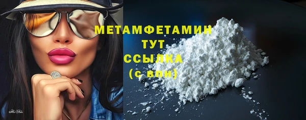 индика Бронницы