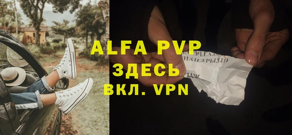 индика Бронницы