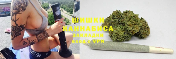 индика Бронницы