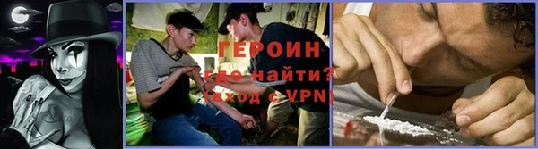 индика Бронницы