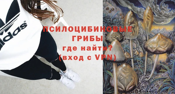 ПСИЛОЦИБИНОВЫЕ ГРИБЫ Вуктыл