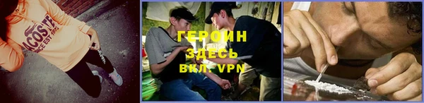 индика Бронницы