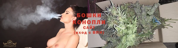 индика Бронницы