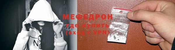 индика Бронницы