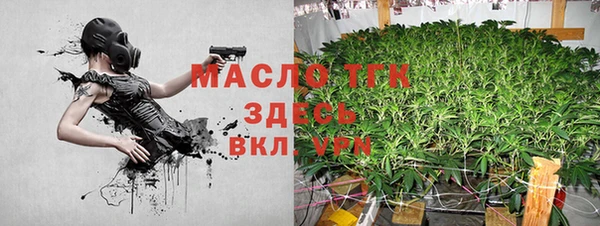 индика Бронницы