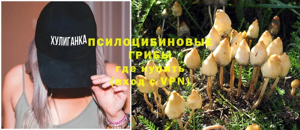 сатива Бугульма