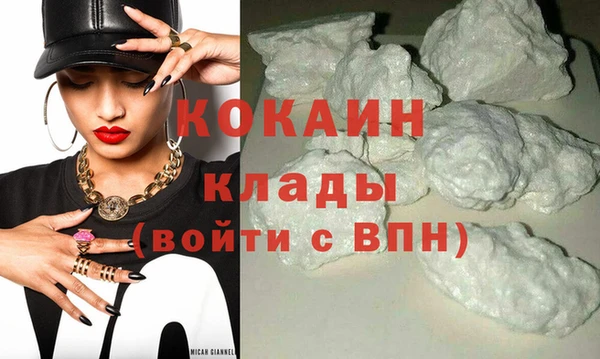 индика Бронницы