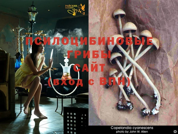 не бодяженный Бородино