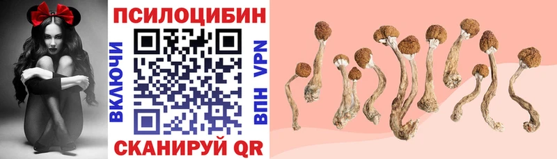 где продают наркотики  Кондрово  Псилоцибиновые грибы MAGIC MUSHROOMS 
